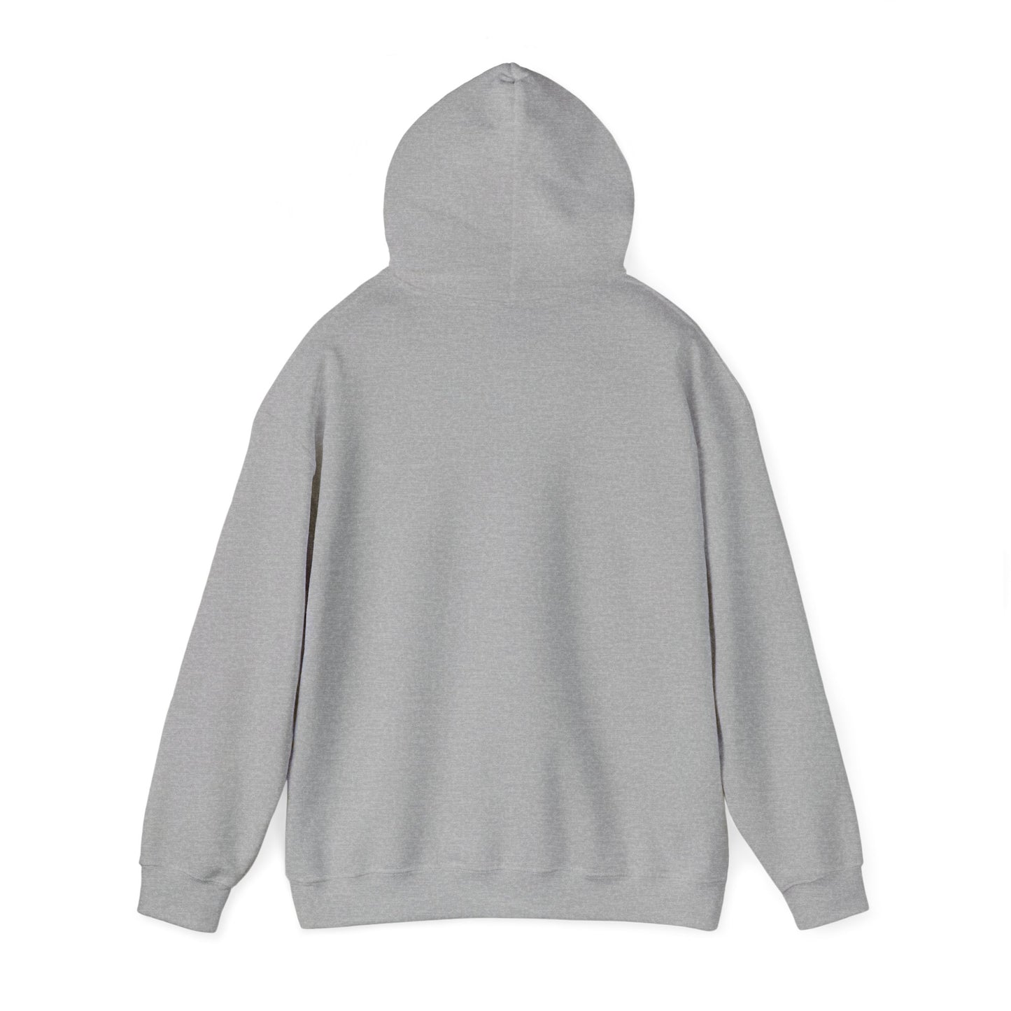 What Leaves Your Mouth, Leads Your Future Unisex Hoodies