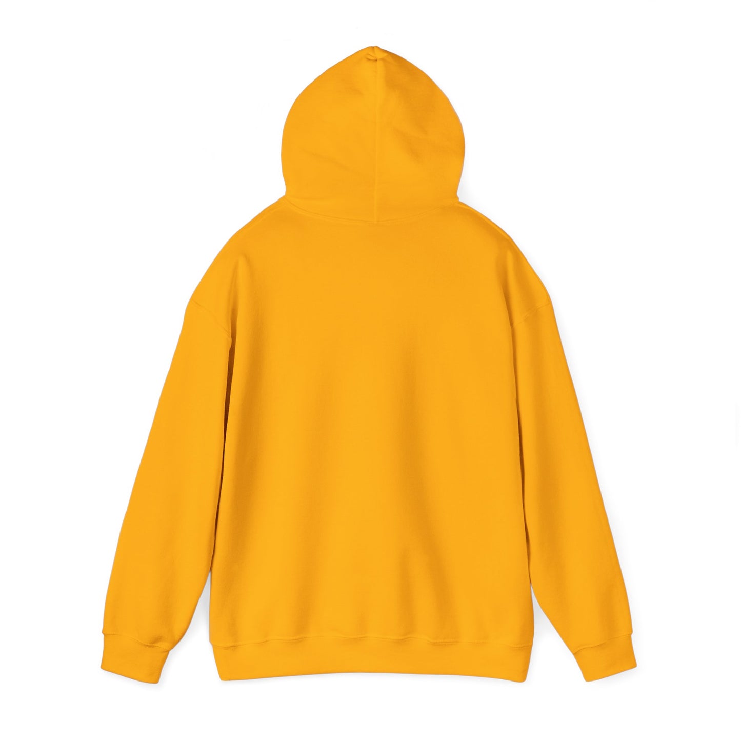 What Leaves Your Mouth, Leads Your Future Unisex Hoodies