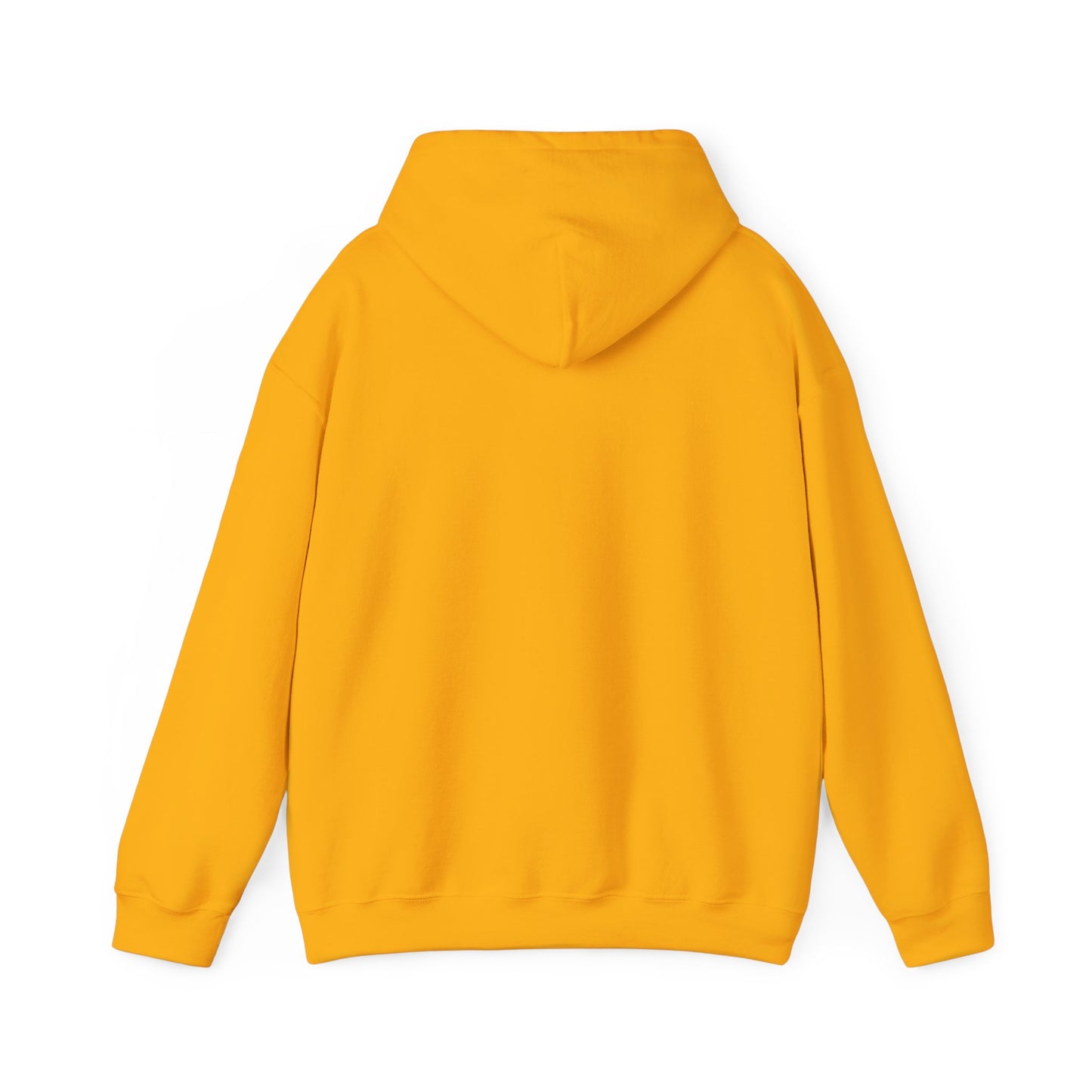 What Leaves Your Mouth, Leads Your Future Unisex Hoodies